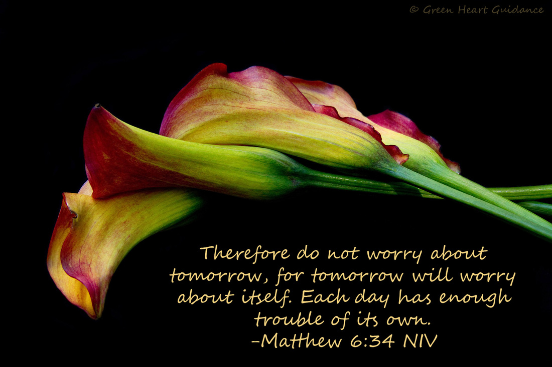 Therefore do not worry about tomorrow, for tomorrow will worry about itself. Each day has enough trouble of its own. ~Matthew 6:34 NIV