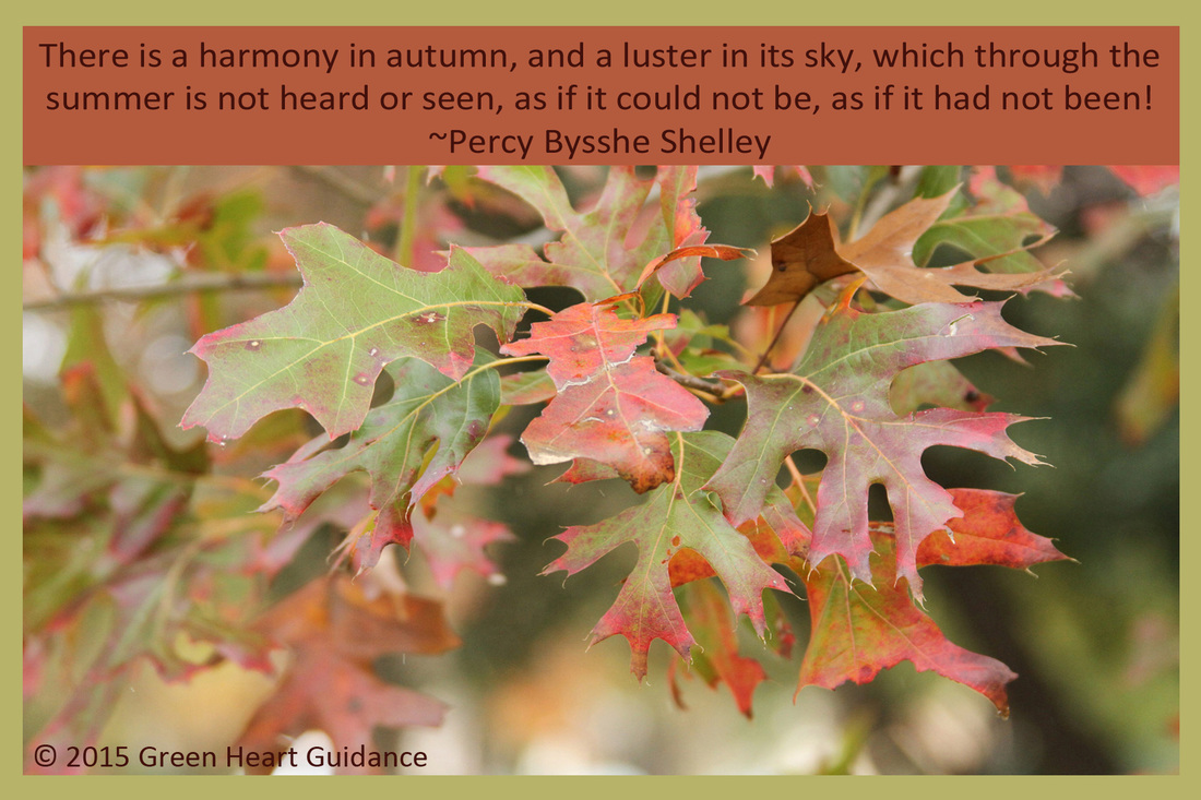 There is a harmony in autumn, and a luster in its sky, which through the summer is not heard or seen, as if it could not be, as if it had not been! ~Percy Bysshe Shelley 
