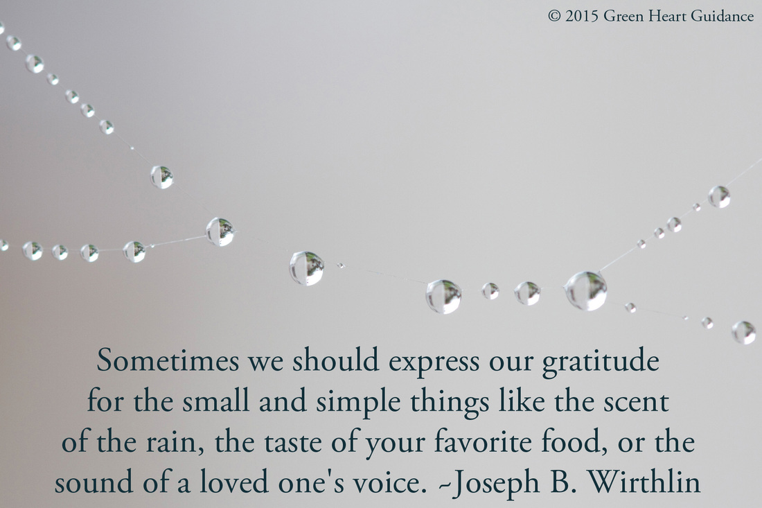Sometimes we should express our gratitude for the small and simple things like the scent of the rain, the taste of your favorite food, or the sound of a loved one's voice. ~Joseph B. Wirthlin