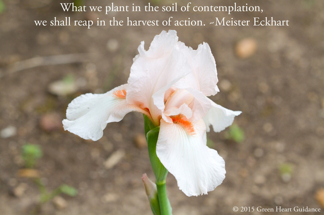 What we plant in the soil of contemplation, we shall reap in the harvest of action. ~Meister Eckhart