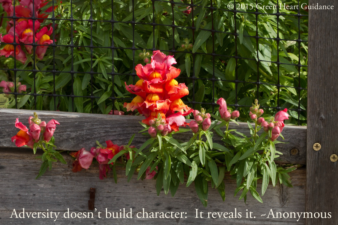 Adversity doesn’t build character: It reveals it. ~Anonymous