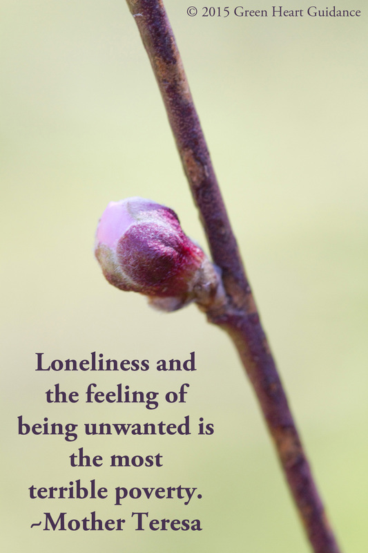 Loneliness and the feeling of being unwanted is the most terrible poverty. ~Mother Teresa