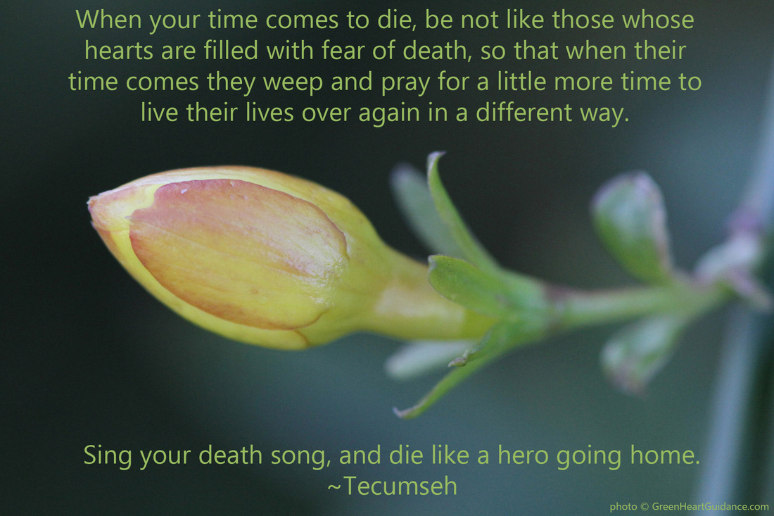 When your time comes to die, be not like those whose hearts are filled with fear of death, so that when their time comes they weep and pray for a little more time to live their lives over again in a different way. Sing your death song, and die like a hero going home. ~Tecumseh