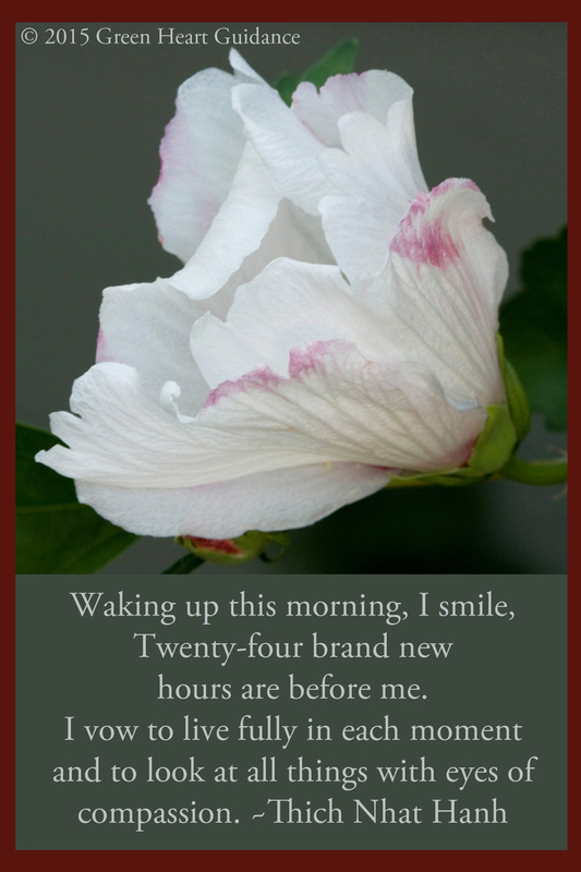 Waking up this morning, I smile, Twenty four brand new hours are before me. I vow to live fully in each moment and to look at all things with eyes of compassion. ~Thich Nhat Hanh