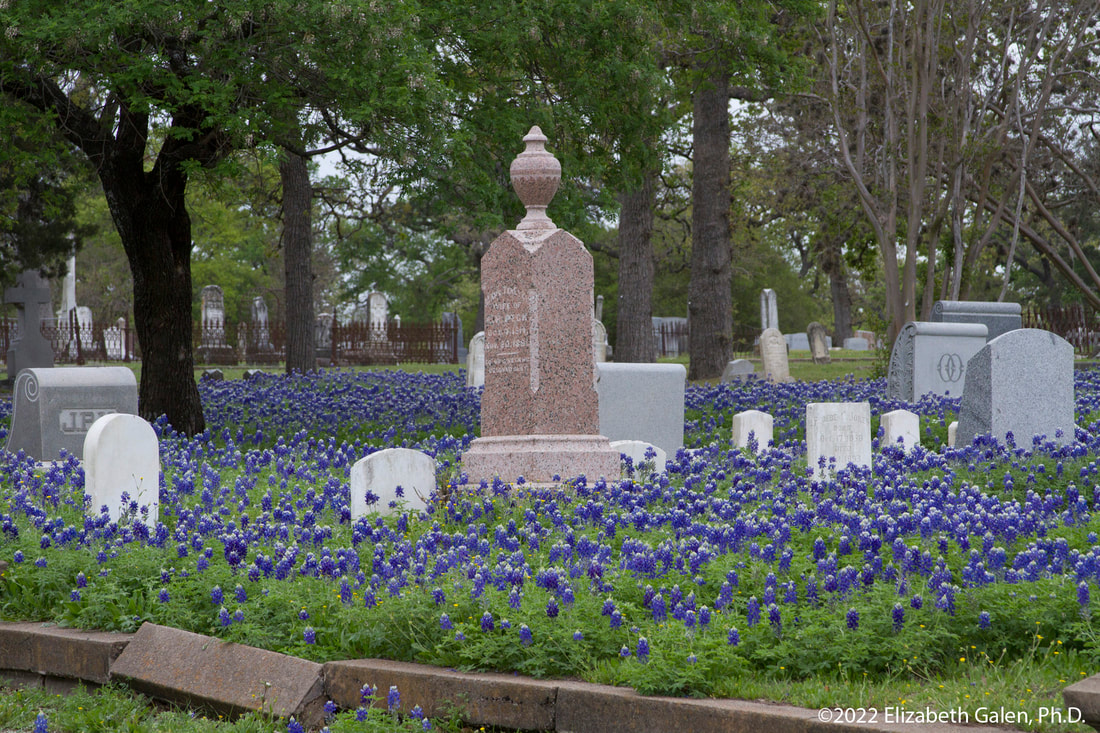 headstones in a cemetery surrounded by trees and bluebonnets
