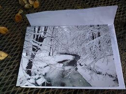 a snowy scene of a meandering creek and barren trees on a Christmas card sitting closed on the envelope it was sent in